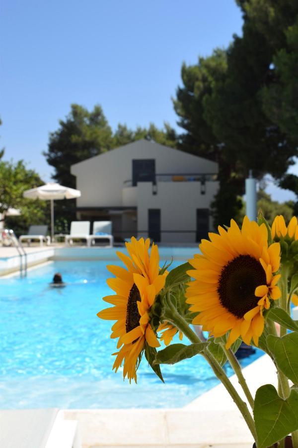 Villa Pefki Hanya Dış mekan fotoğraf